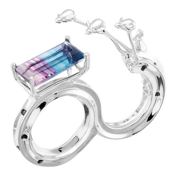 Anillo principito