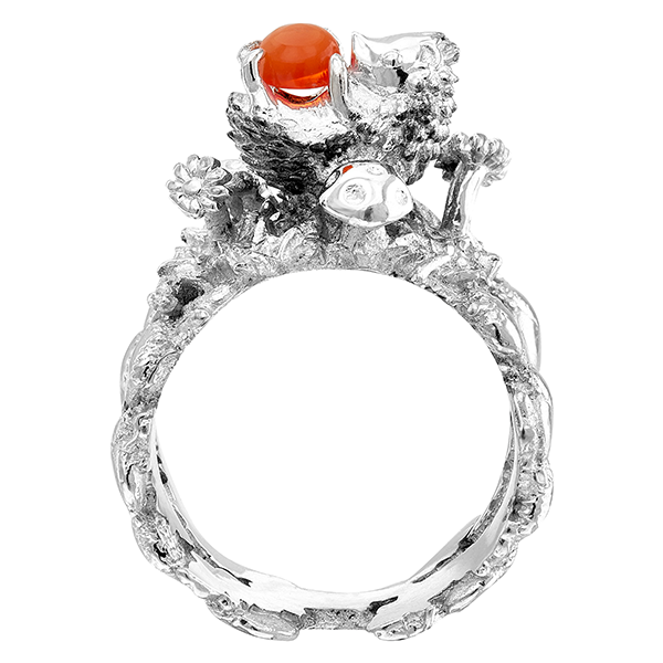 Anillo Erizo Paulino en el Jardin 2