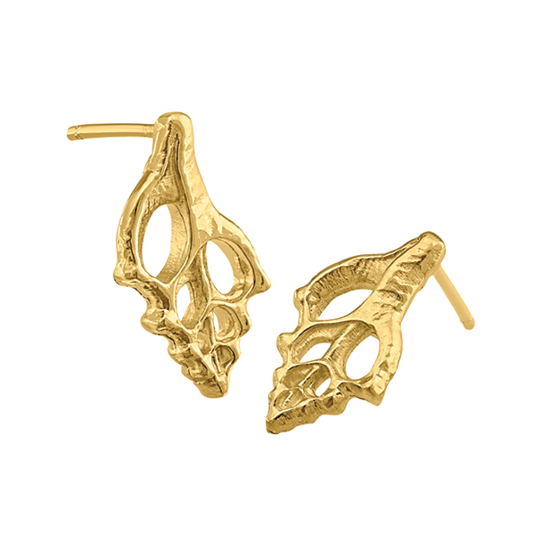 Caracola Aretes grande