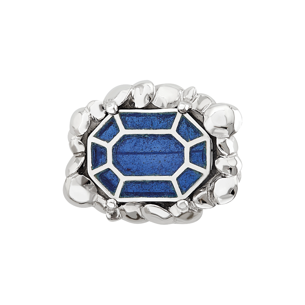 Broche Plique - a - Jour zafiro