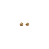 Aretes Amuleto Catarina