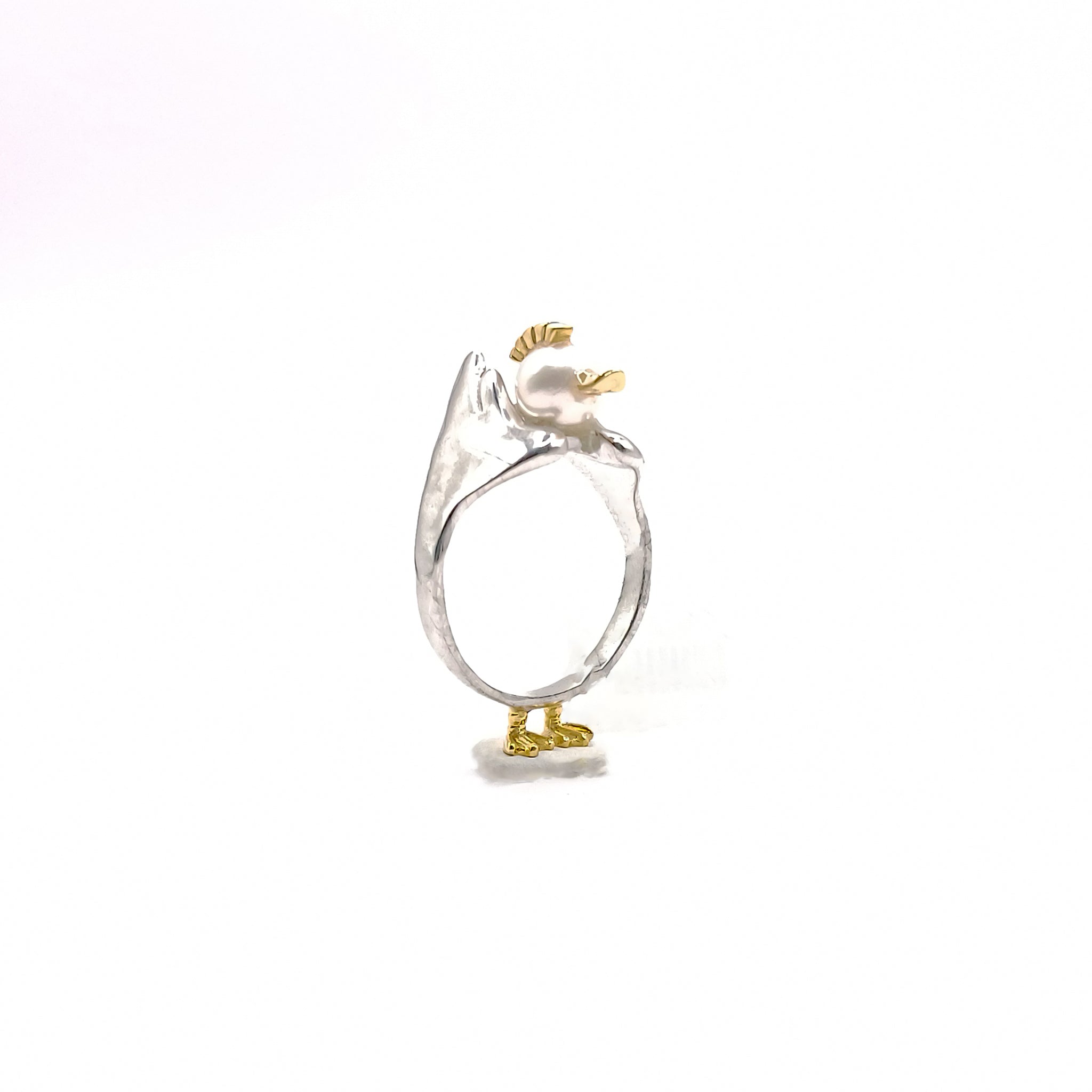 Out of the eggshell Anillo