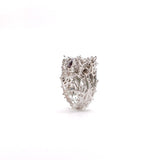 Anillo Arrecife