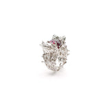 Anillo Arrecife