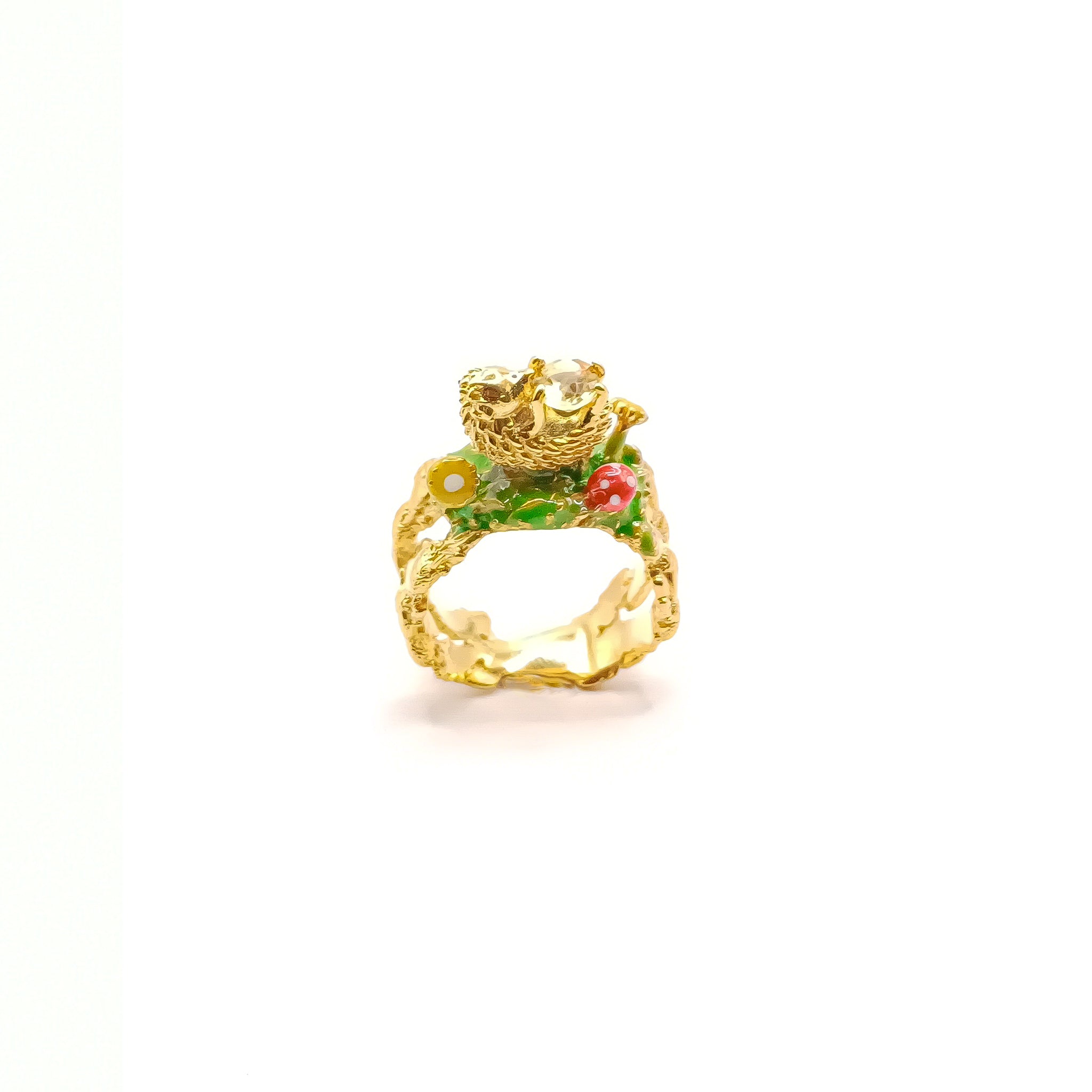 Anillo Erizo Paulino en el jardin