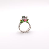 Anillo Erizo Paulino en el jardin