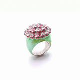 Anillo Jardín de hongos
