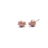 Blowfish Aretes