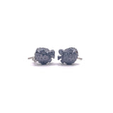 Blowfish Aretes