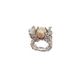 Anillo Arrecife