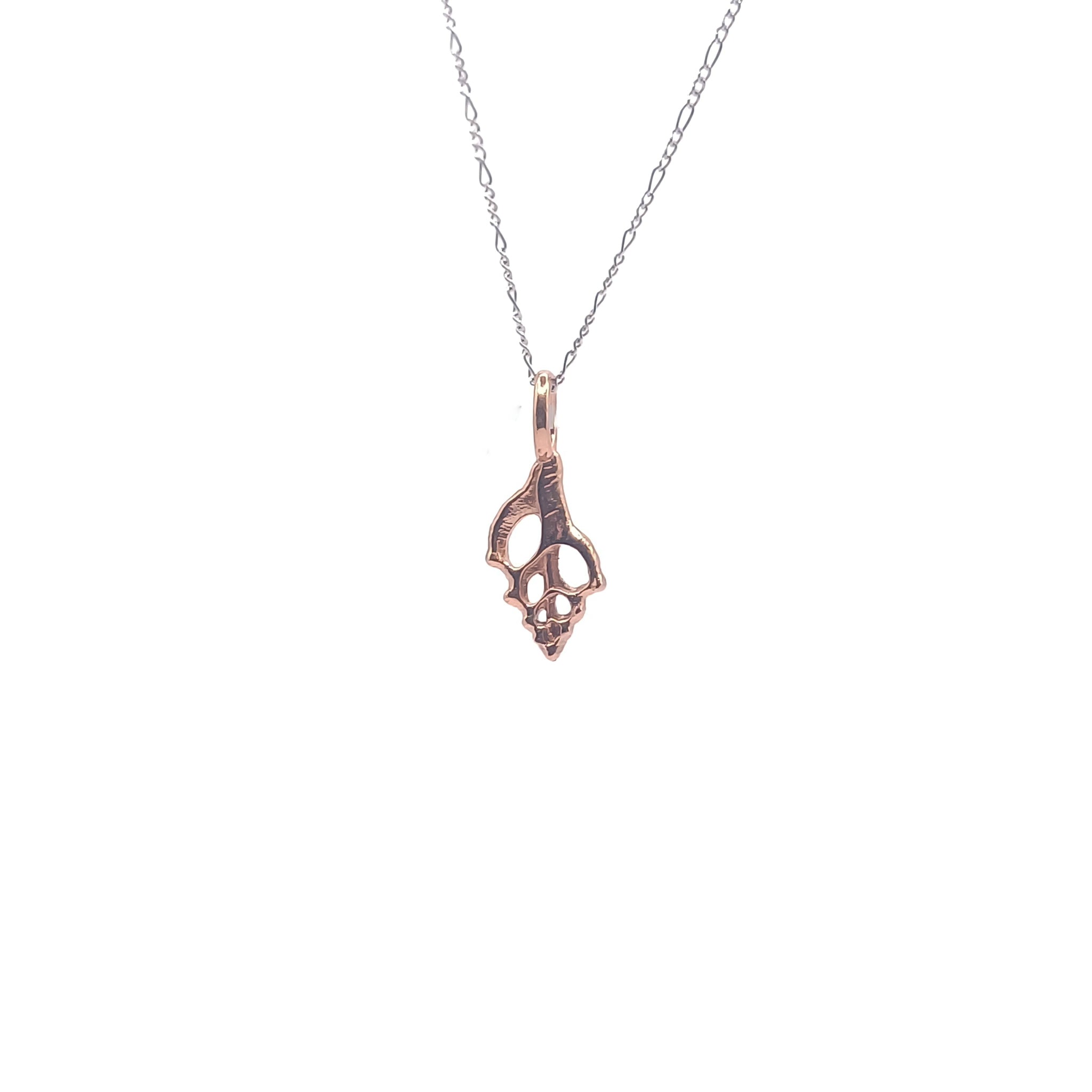 Caracol Dije grande - Paula Guzmán