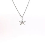 Star Fish dije mini - Paula Guzmán