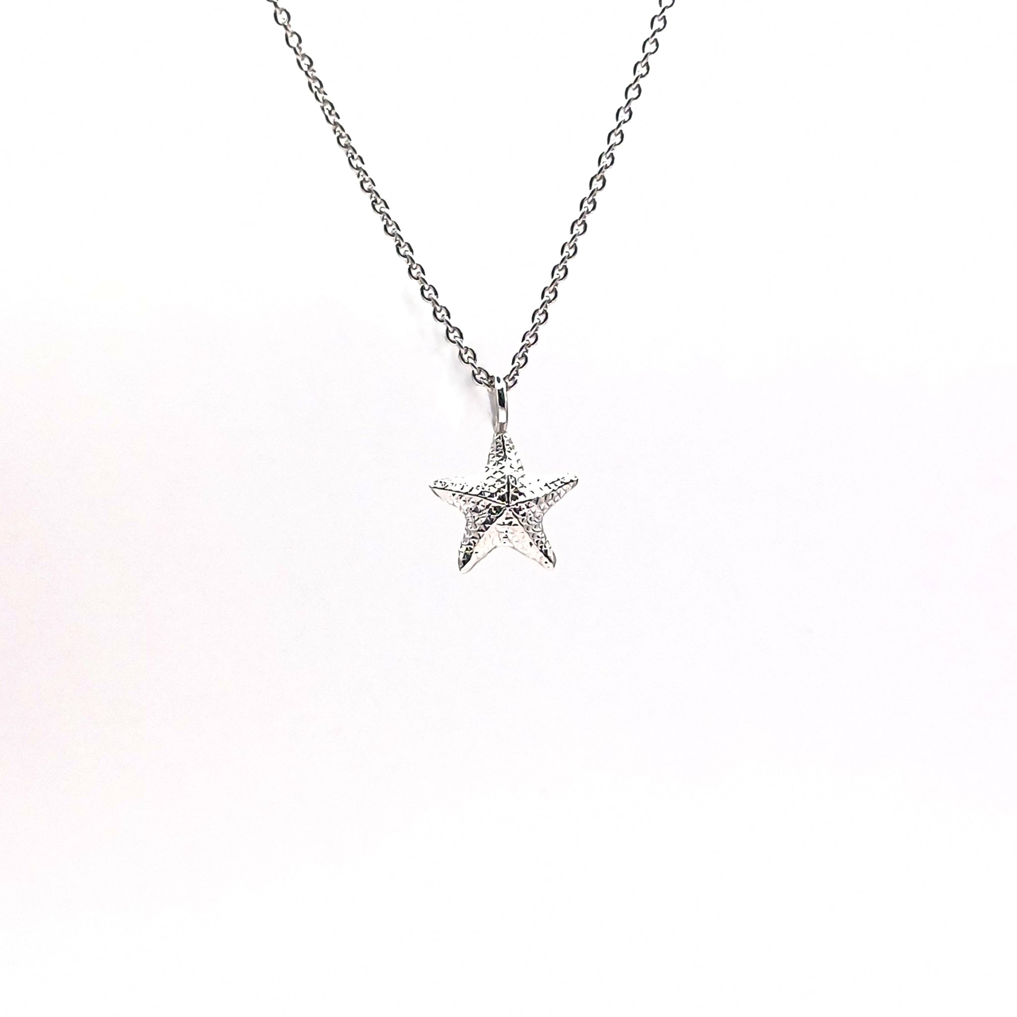 Star Fish dije mini - Paula Guzmán