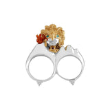 Anillo Volcanes