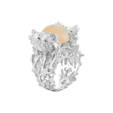 Anillo Arrecife