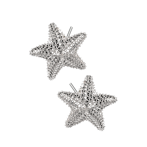 Starfish Aretes grandes