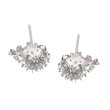 Blowfish Aretes