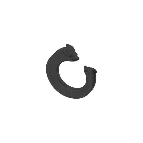 Anillo Chihuahua