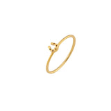 Anillo Amuleto Herradura