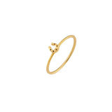 Anillo Amuleto Herradura - Paula Guzmán