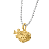 Blow fish Dije Grande - Paula Guzmán