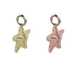 Star Fish dije mini - Paula Guzmán